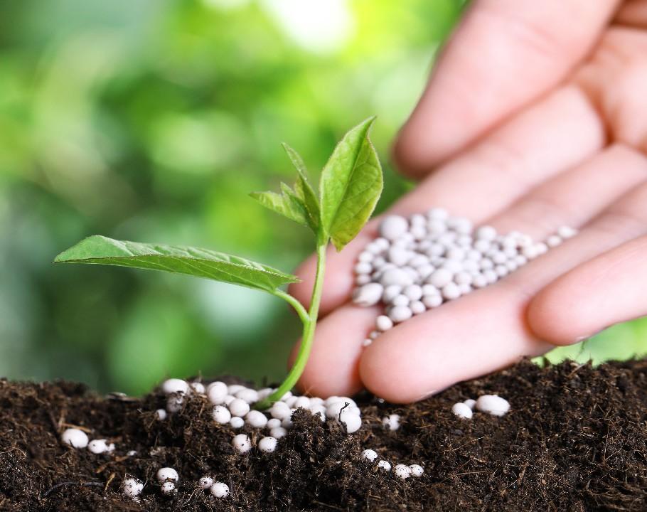 Fertilizer 1