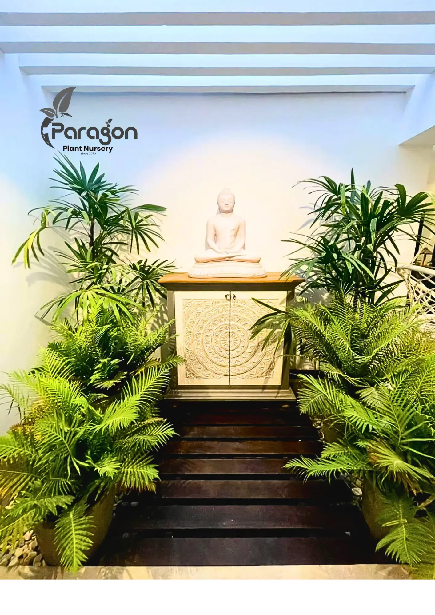 Paragon Residency 1