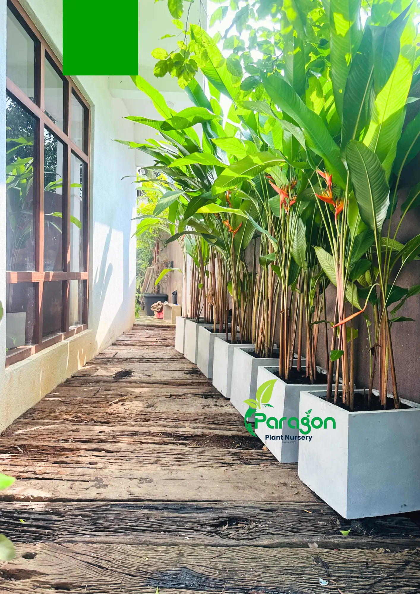 Private Residence – Rangiri Hotel, Anuradhapura 1