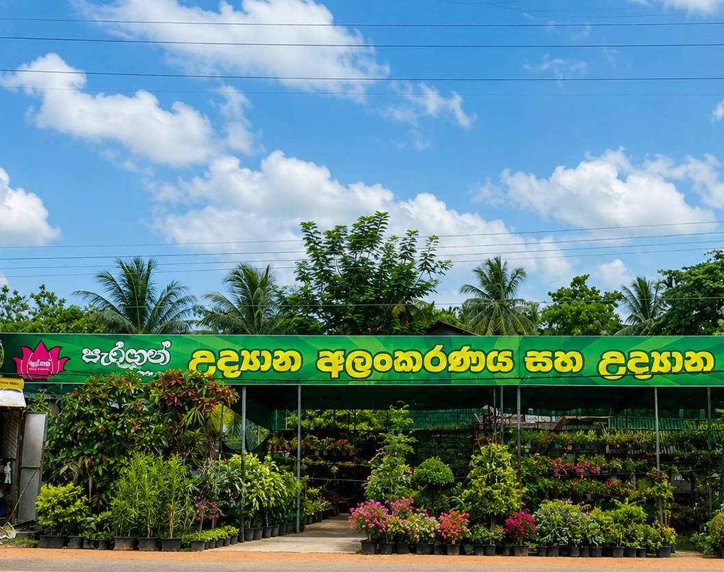 Paragon Plant Nursery Bikshu University Branch Anuradhapura